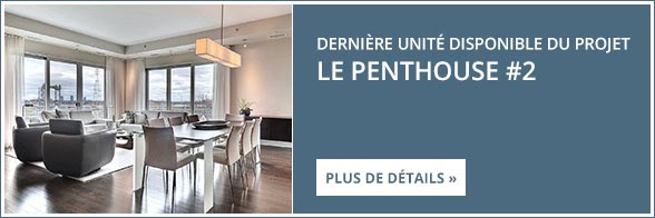 Dernière unité disponible au projet